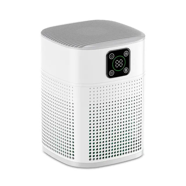 Portable Air Purifier